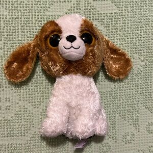 Ty Cookie the Dog The Beanie Boo Collection 2010